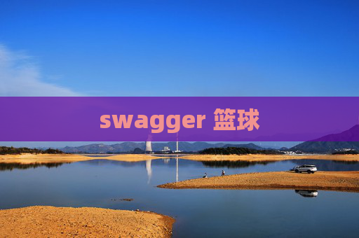 swagger 篮球 swagger 篮球